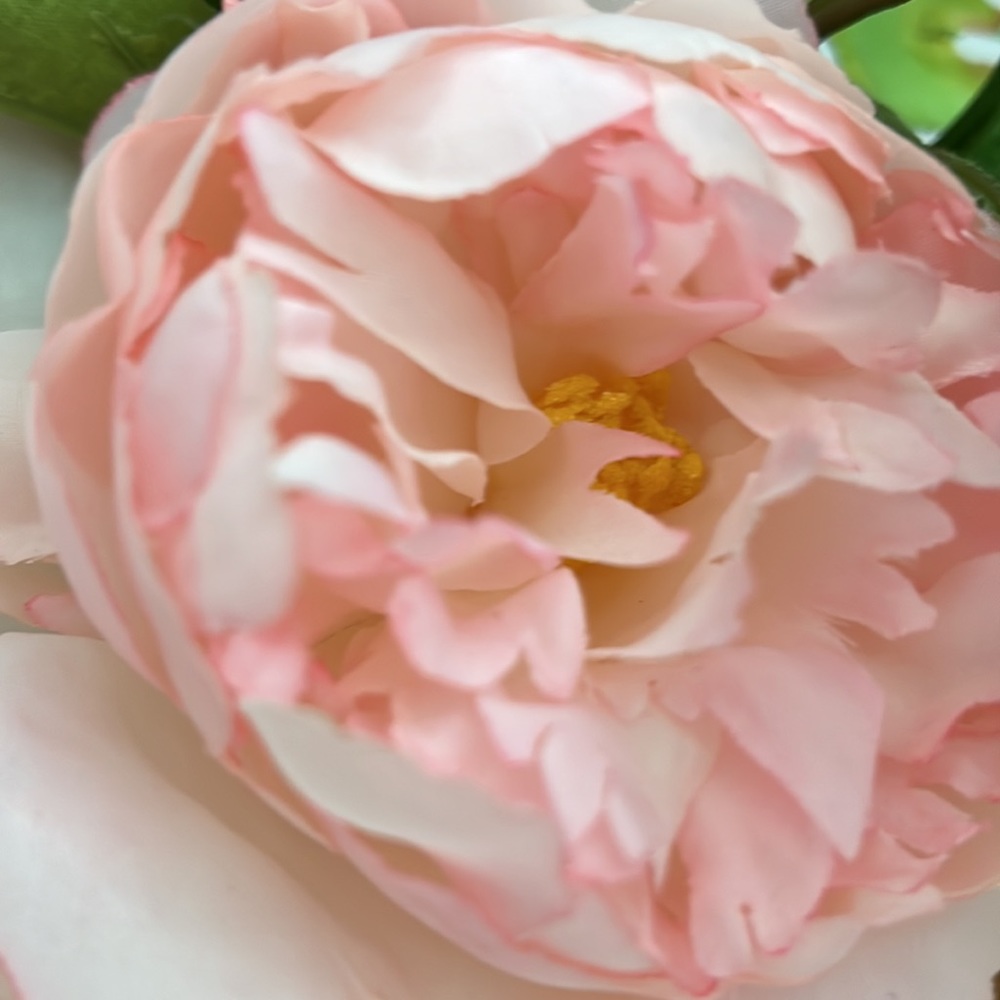 BUNDLE FOR Sui__lily